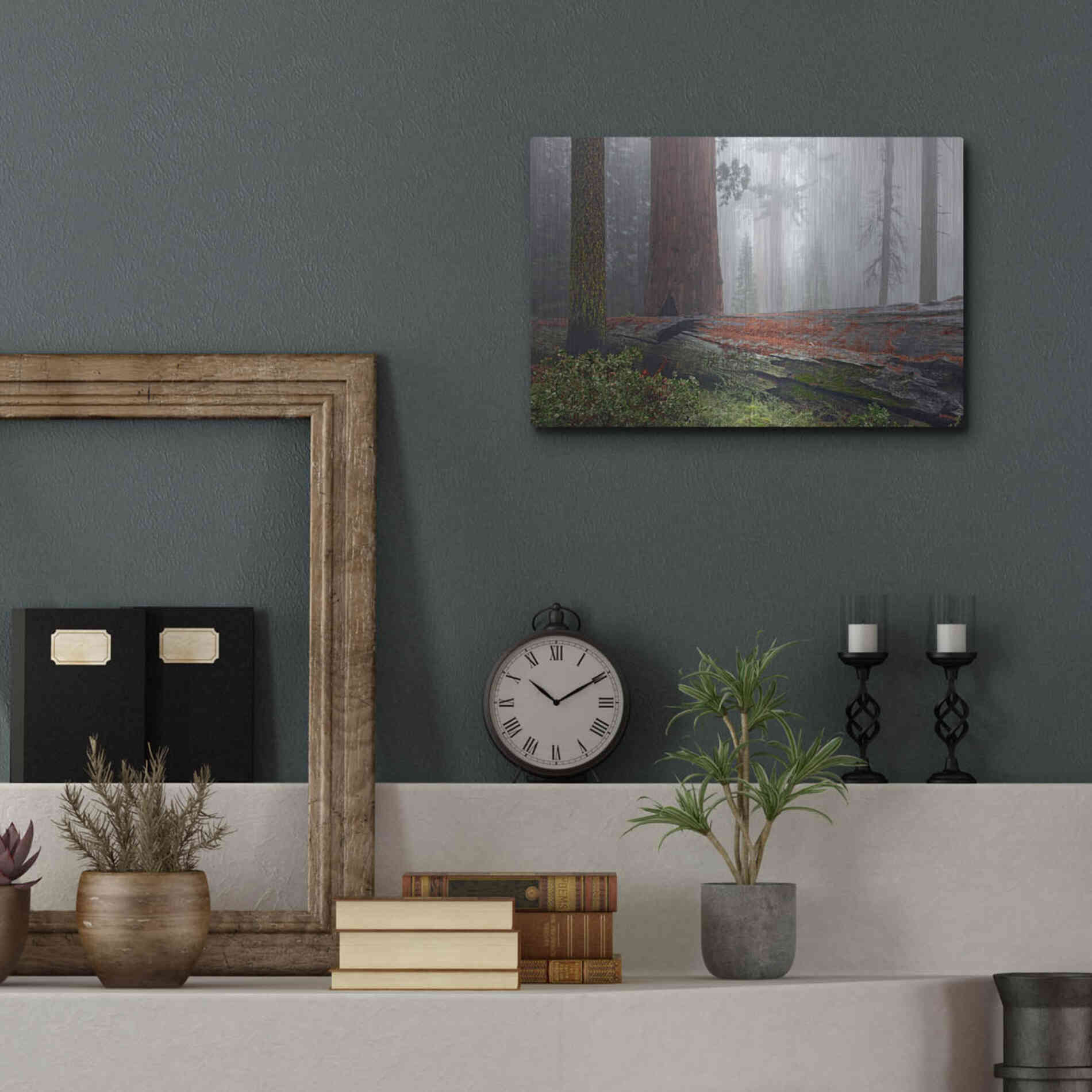 Luxe Metal Art 'Sequoia Fallen Giant' by Mike Jones, Metal Wall Art,16x12