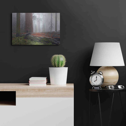 Luxe Metal Art 'Sequoia Fallen Giant' by Mike Jones, Metal Wall Art,24x16