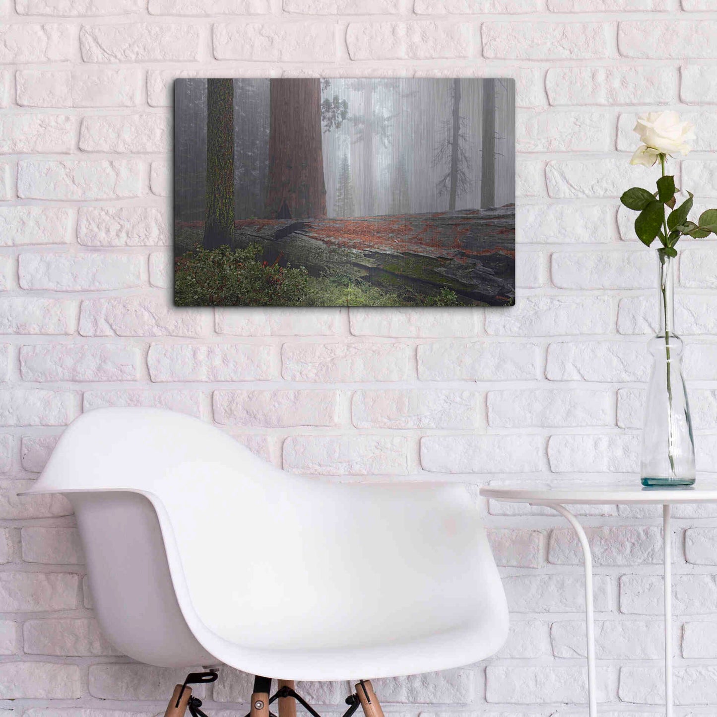 Luxe Metal Art 'Sequoia Fallen Giant' by Mike Jones, Metal Wall Art,24x16