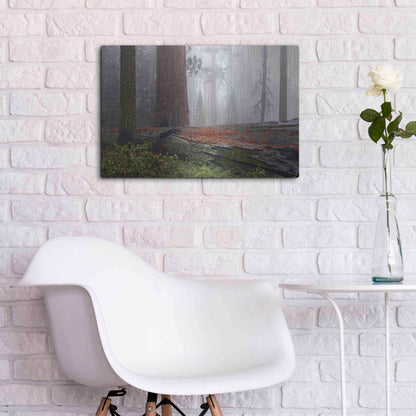 Luxe Metal Art 'Sequoia Fallen Giant' by Mike Jones, Metal Wall Art,24x16