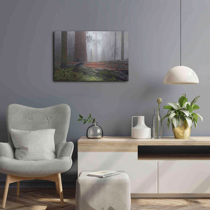 Luxe Metal Art 'Sequoia Fallen Giant' by Mike Jones, Metal Wall Art,24x16