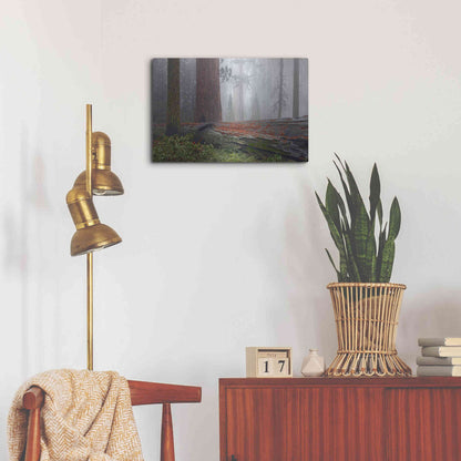 Luxe Metal Art 'Sequoia Fallen Giant' by Mike Jones, Metal Wall Art,24x16