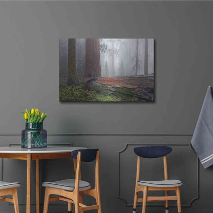 Luxe Metal Art 'Sequoia Fallen Giant' by Mike Jones, Metal Wall Art,36x24