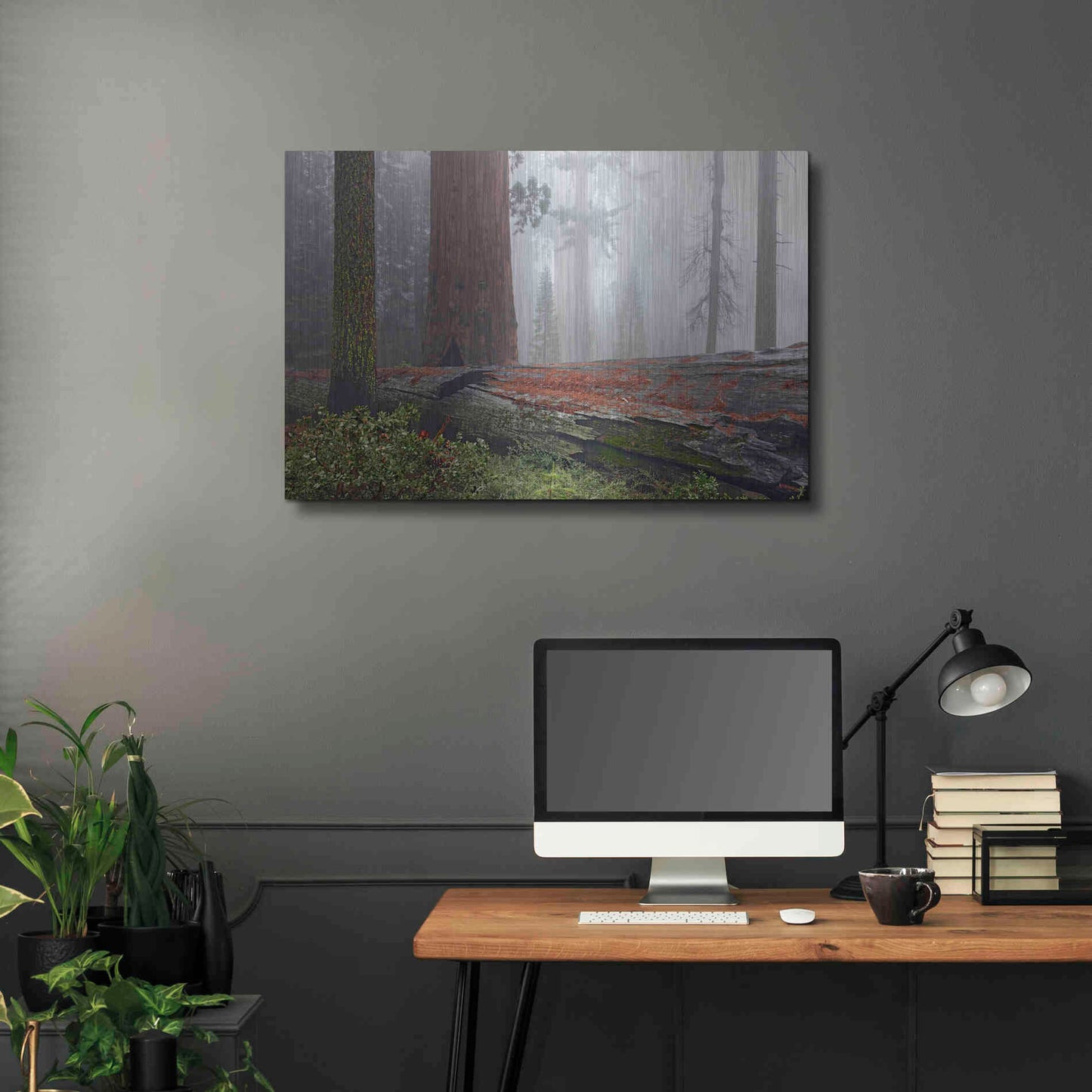 Luxe Metal Art 'Sequoia Fallen Giant' by Mike Jones, Metal Wall Art,36x24