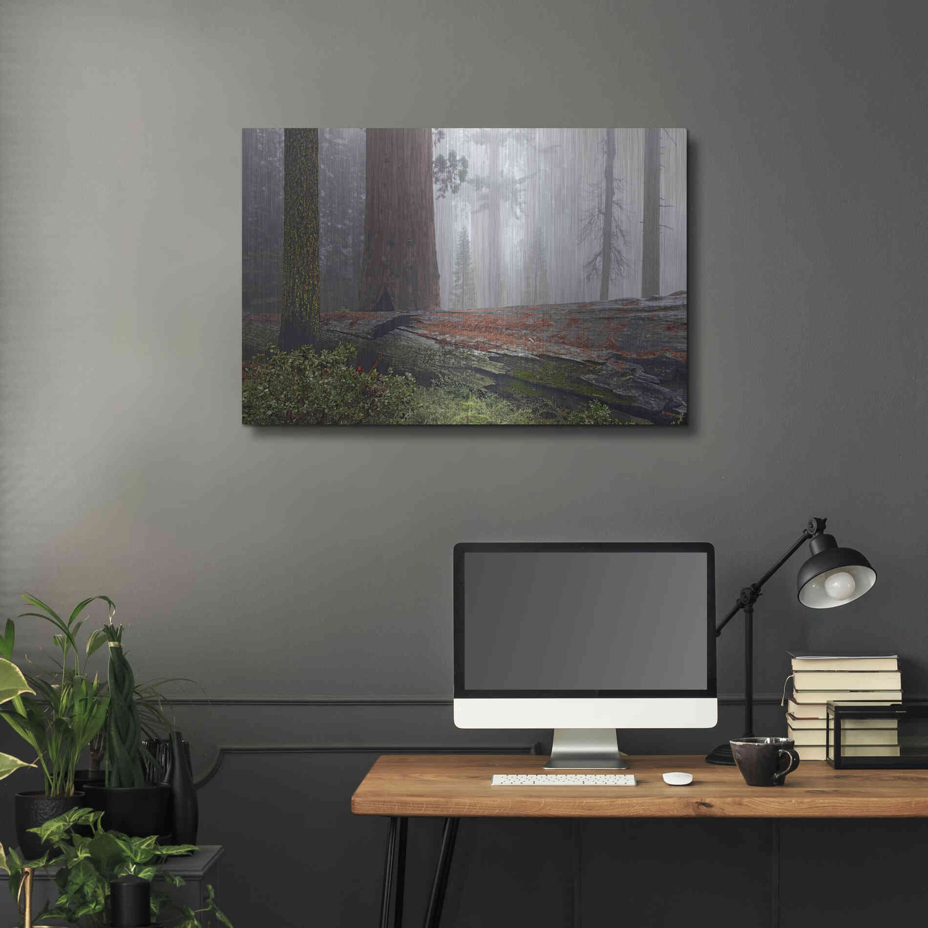 Luxe Metal Art 'Sequoia Fallen Giant' by Mike Jones, Metal Wall Art,36x24