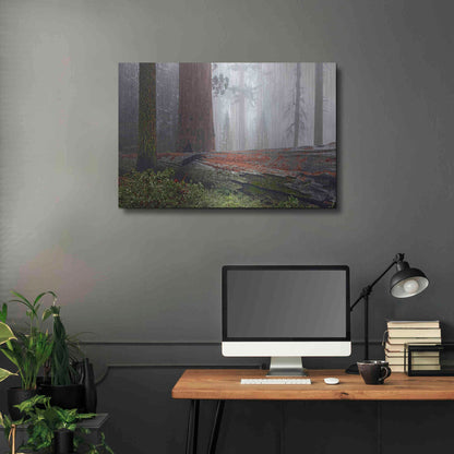 Luxe Metal Art 'Sequoia Fallen Giant' by Mike Jones, Metal Wall Art,36x24