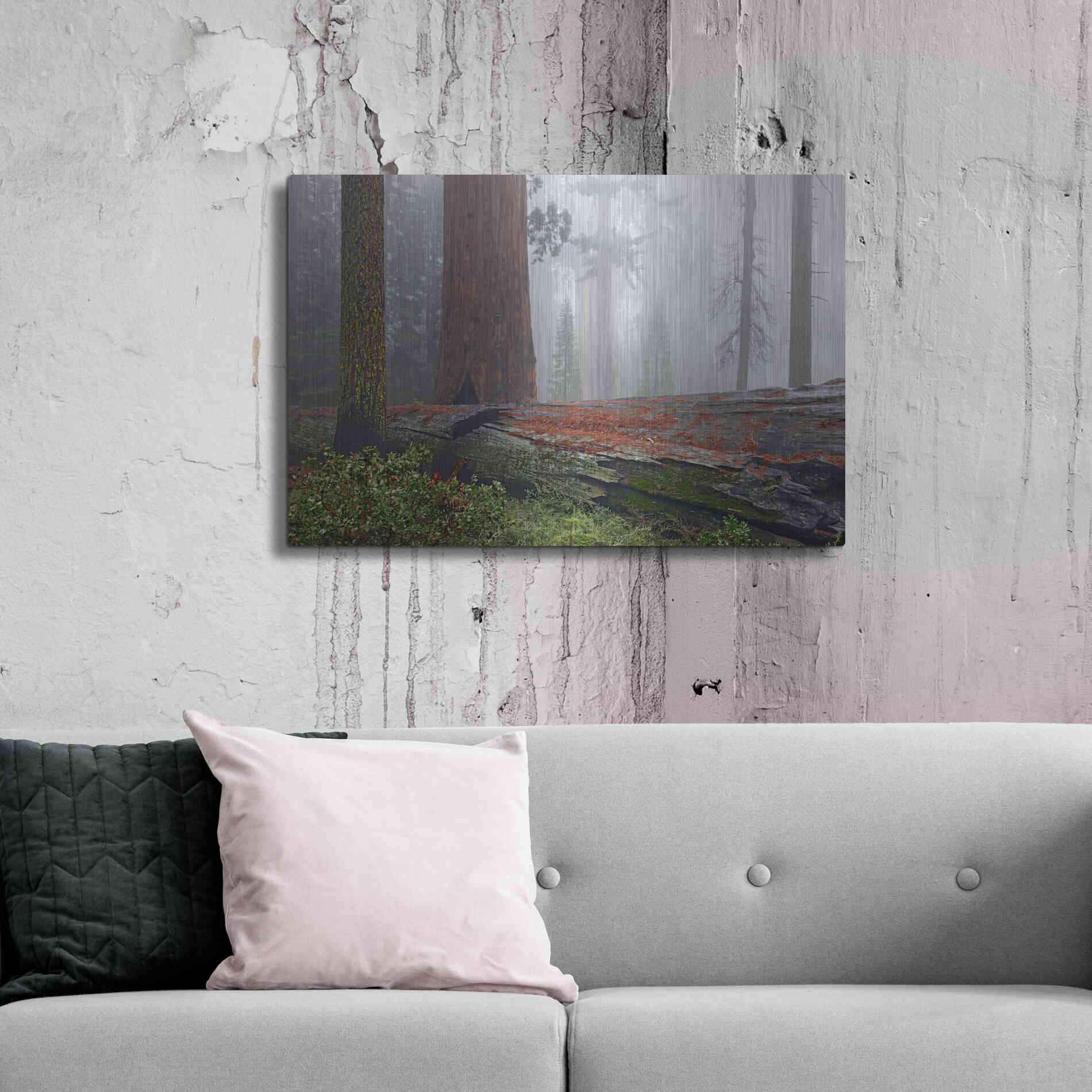 Luxe Metal Art 'Sequoia Fallen Giant' by Mike Jones, Metal Wall Art,36x24