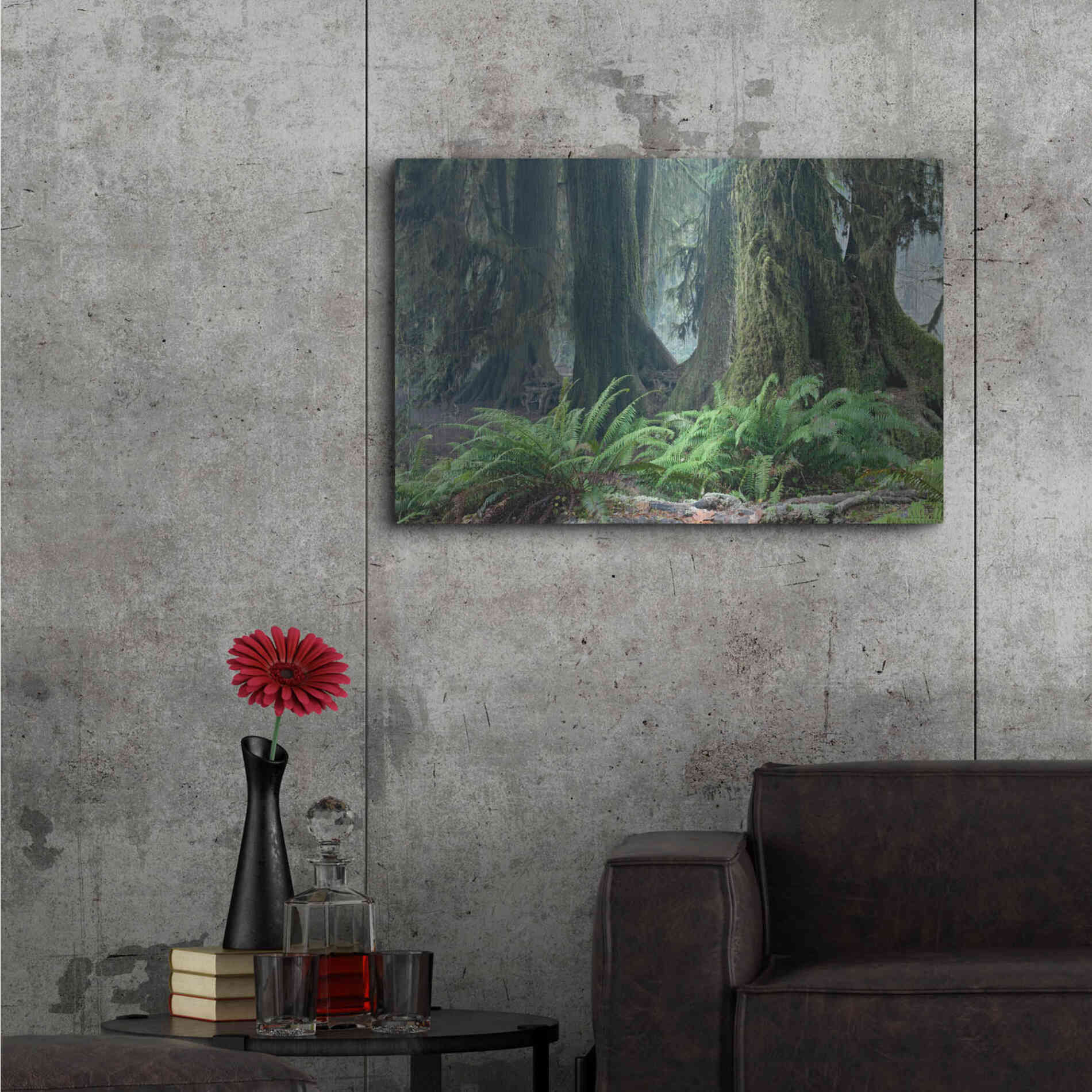 Luxe Metal Art 'Washington Olympic NP Foggy Ferns' by Mike Jones, Metal Wall Art,36x24