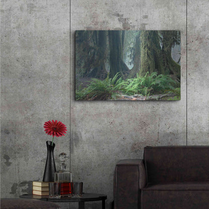Luxe Metal Art 'Washington Olympic NP Foggy Ferns' by Mike Jones, Metal Wall Art,36x24