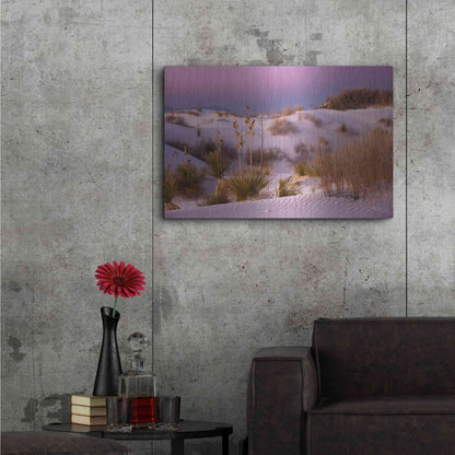 Luxe Metal Art 'White Sands Dusk' by Mike Jones, Metal Wall Art,36x24