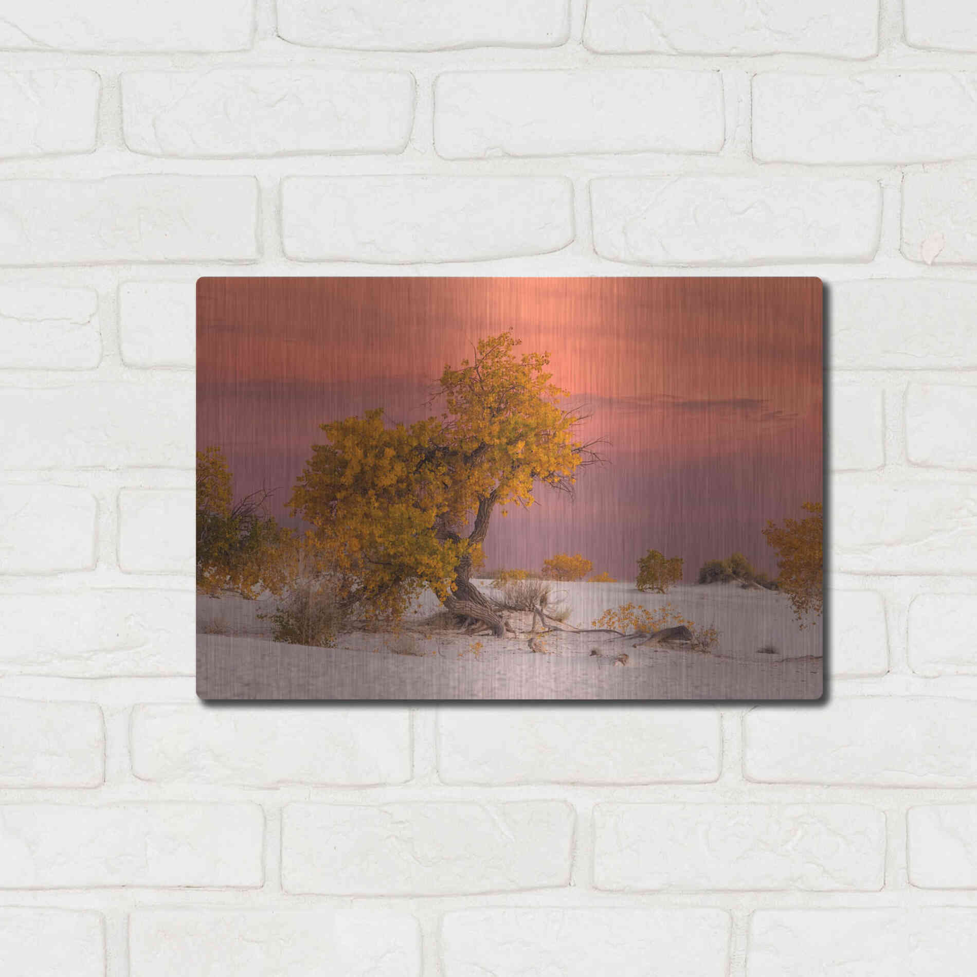 Luxe Metal Art 'White Sands Yellow Tree' by Mike Jones, Metal Wall Art,16x12