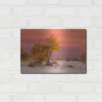 Luxe Metal Art 'White Sands Yellow Tree' by Mike Jones, Metal Wall Art,16x12