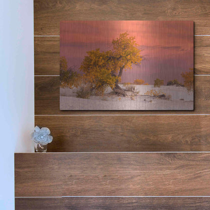 Luxe Metal Art 'White Sands Yellow Tree' by Mike Jones, Metal Wall Art,16x12