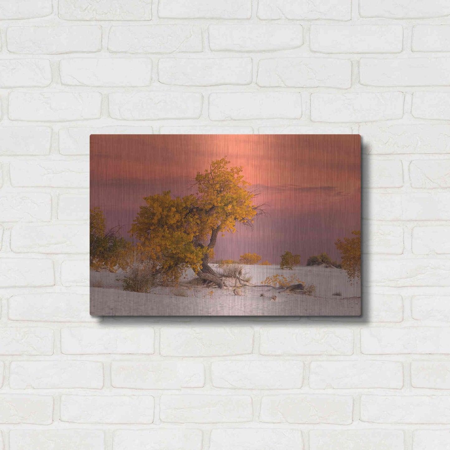 Luxe Metal Art 'White Sands Yellow Tree' by Mike Jones, Metal Wall Art,24x16