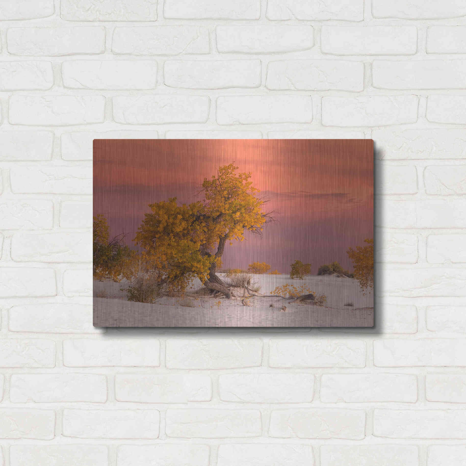 Luxe Metal Art 'White Sands Yellow Tree' by Mike Jones, Metal Wall Art,24x16