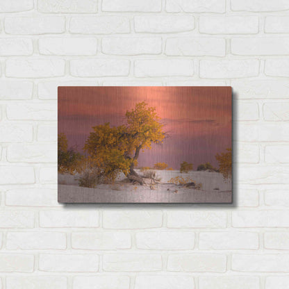 Luxe Metal Art 'White Sands Yellow Tree' by Mike Jones, Metal Wall Art,24x16