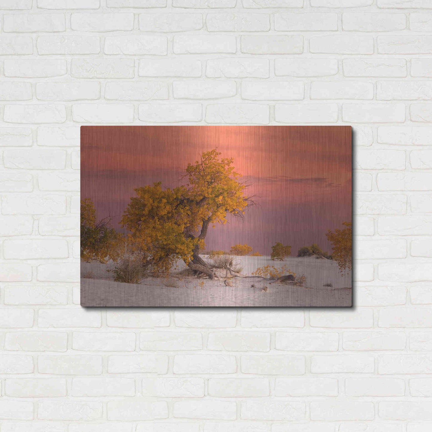 Luxe Metal Art 'White Sands Yellow Tree' by Mike Jones, Metal Wall Art,36x24