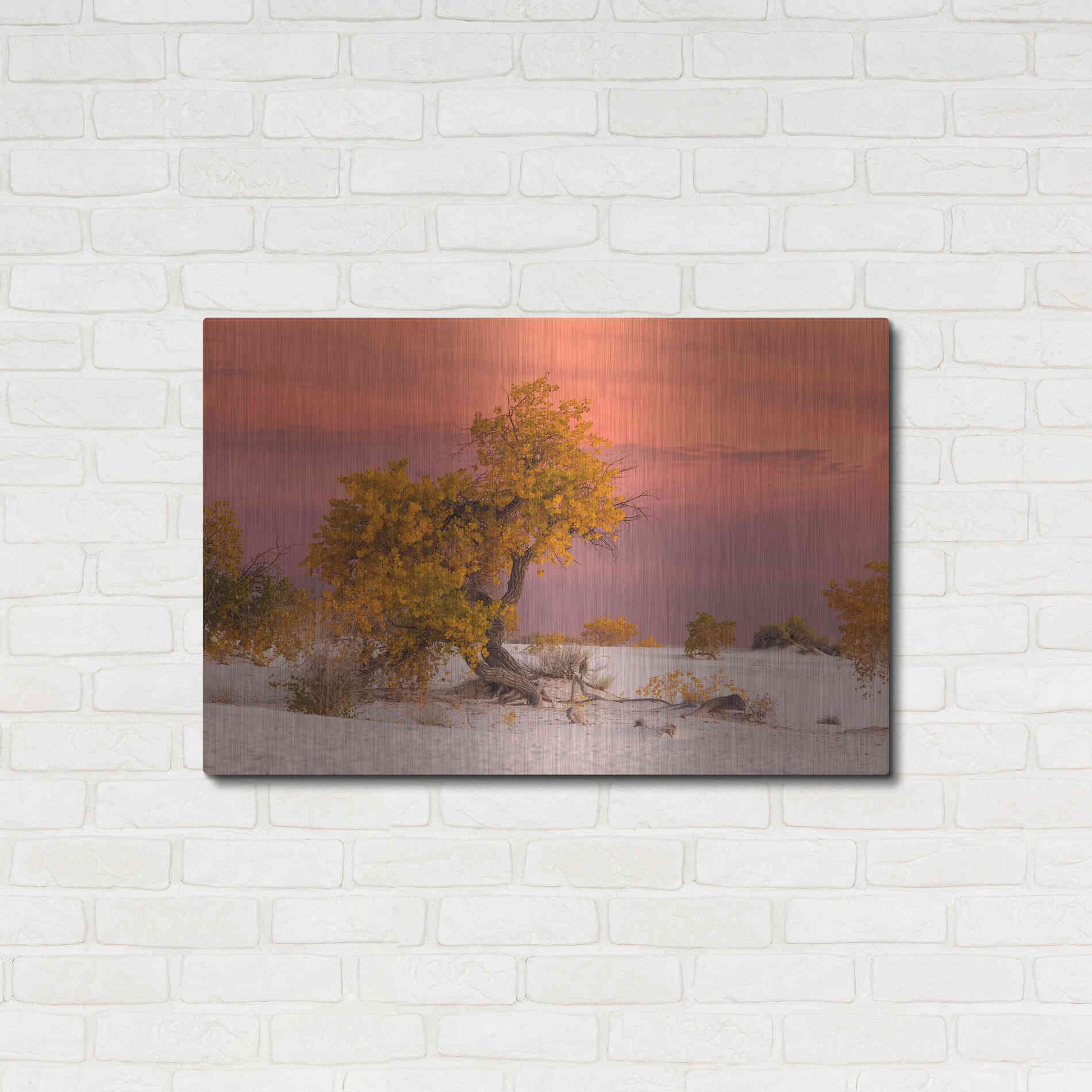 Luxe Metal Art 'White Sands Yellow Tree' by Mike Jones, Metal Wall Art,36x24
