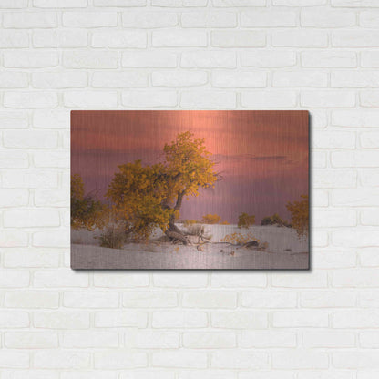 Luxe Metal Art 'White Sands Yellow Tree' by Mike Jones, Metal Wall Art,36x24