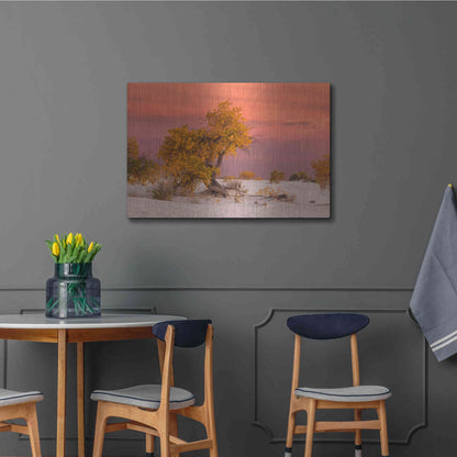 Luxe Metal Art 'White Sands Yellow Tree' by Mike Jones, Metal Wall Art,36x24