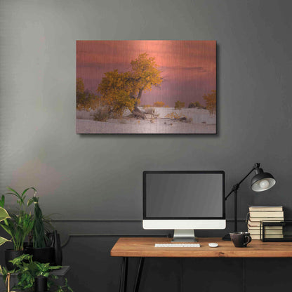 Luxe Metal Art 'White Sands Yellow Tree' by Mike Jones, Metal Wall Art,36x24