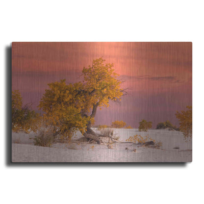 Luxe Metal Art 'White Sands Yellow Tree' by Mike Jones, Metal Wall Art