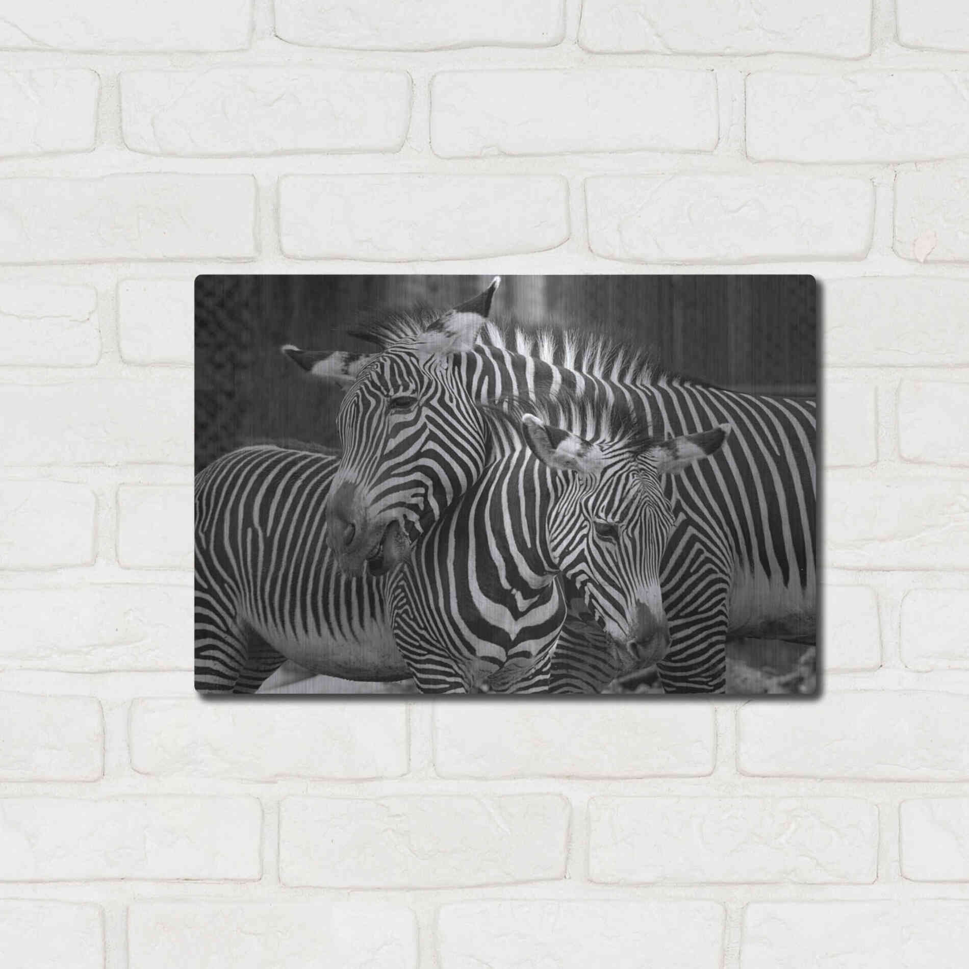 Luxe Metal Art 'Zebras' by Mike Jones, Metal Wall Art,16x12