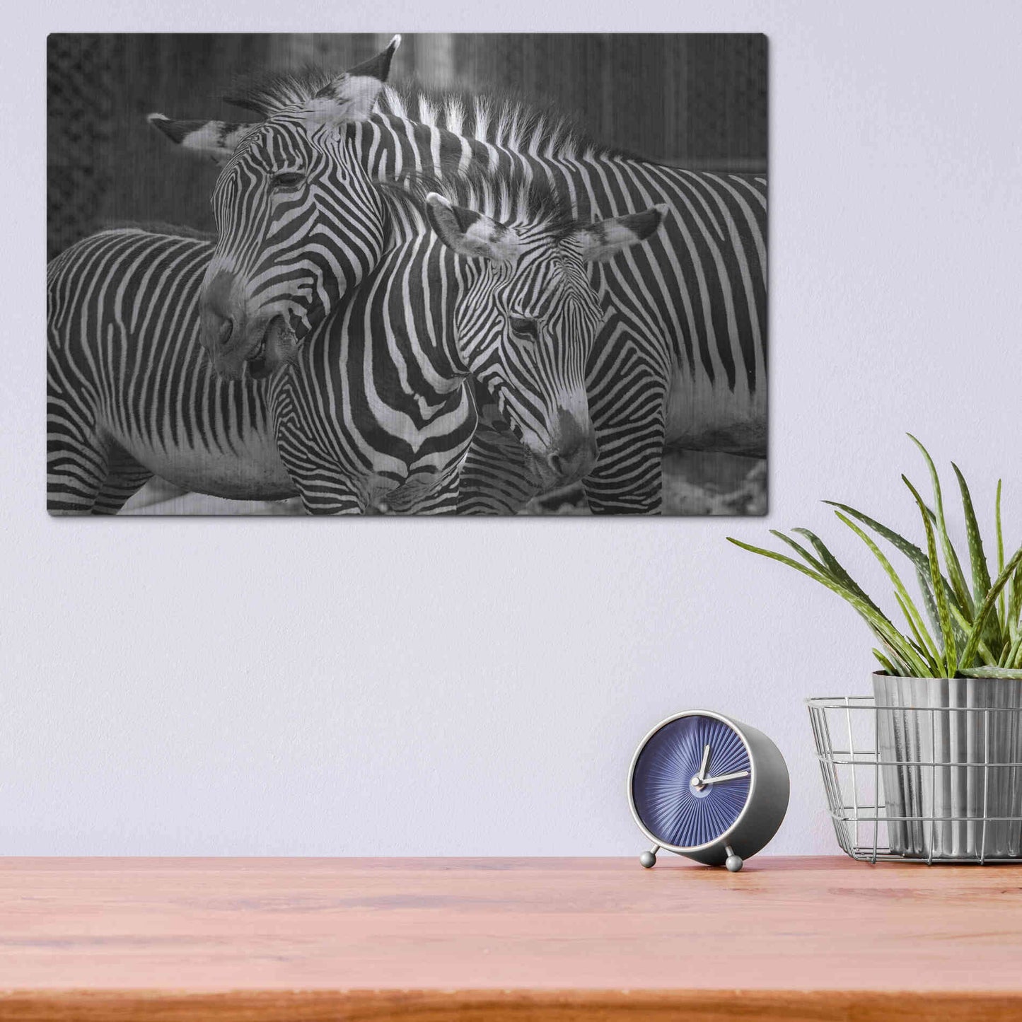 Luxe Metal Art 'Zebras' by Mike Jones, Metal Wall Art,16x12