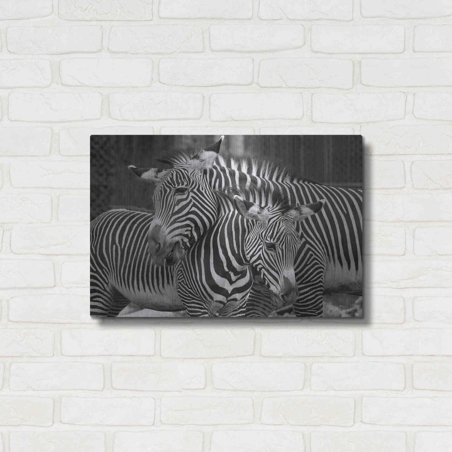 Luxe Metal Art 'Zebras' by Mike Jones, Metal Wall Art,24x16