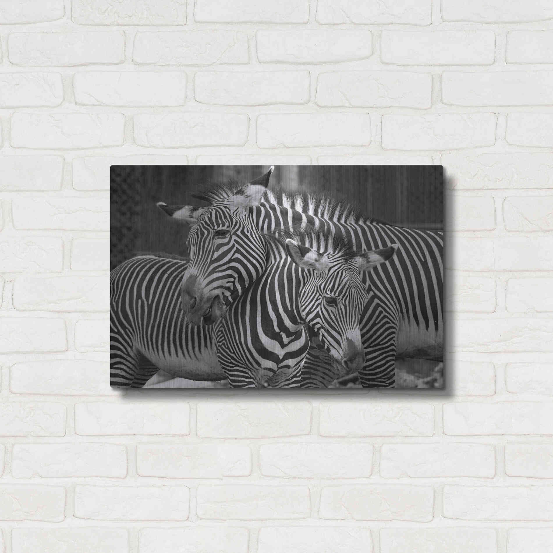 Luxe Metal Art 'Zebras' by Mike Jones, Metal Wall Art,24x16