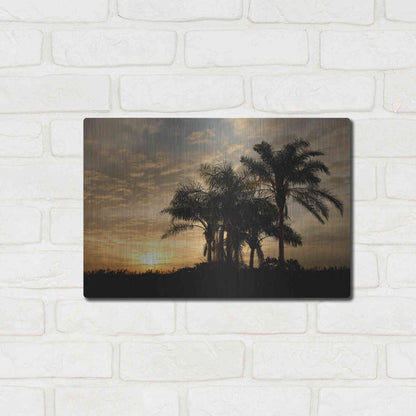 Luxe Metal Art 'Sunrise Experinemt' by Mike Jones, Metal Wall Art,16x12