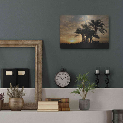 Luxe Metal Art 'Sunrise Experinemt' by Mike Jones, Metal Wall Art,16x12