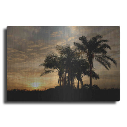 Luxe Metal Art 'Sunrise Experinemt' by Mike Jones, Metal Wall Art