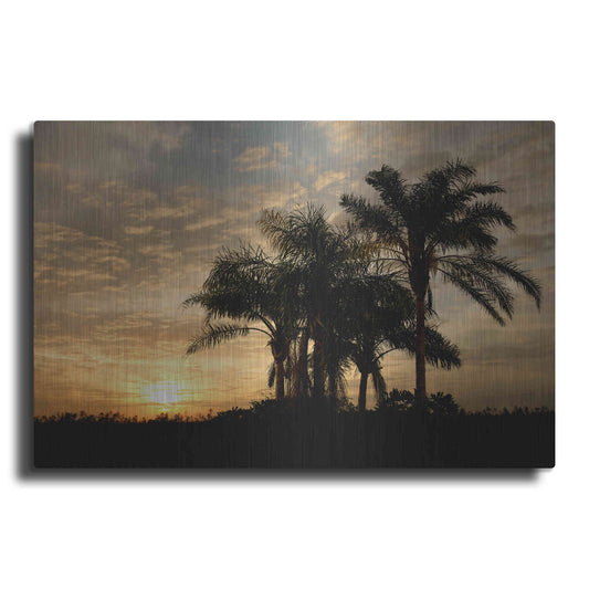 Luxe Metal Art 'Sunrise Experinemt' by Mike Jones, Metal Wall Art