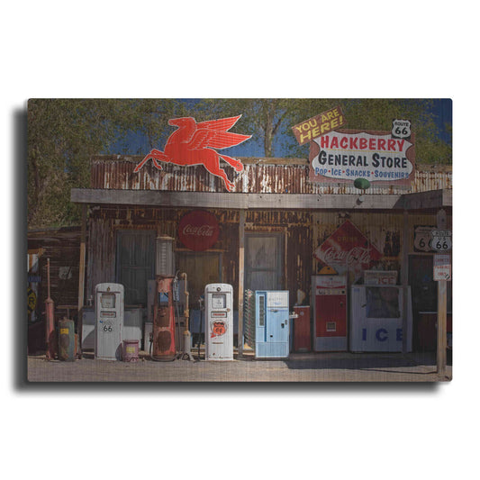 Luxe Metal Art 'Hackberry' by Mike Jones, Metal Wall Art