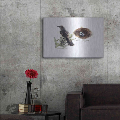 Luxe Metal Art 'Bird & Nest Study I' by Bruce Dean, Metal Wall Art,36x24