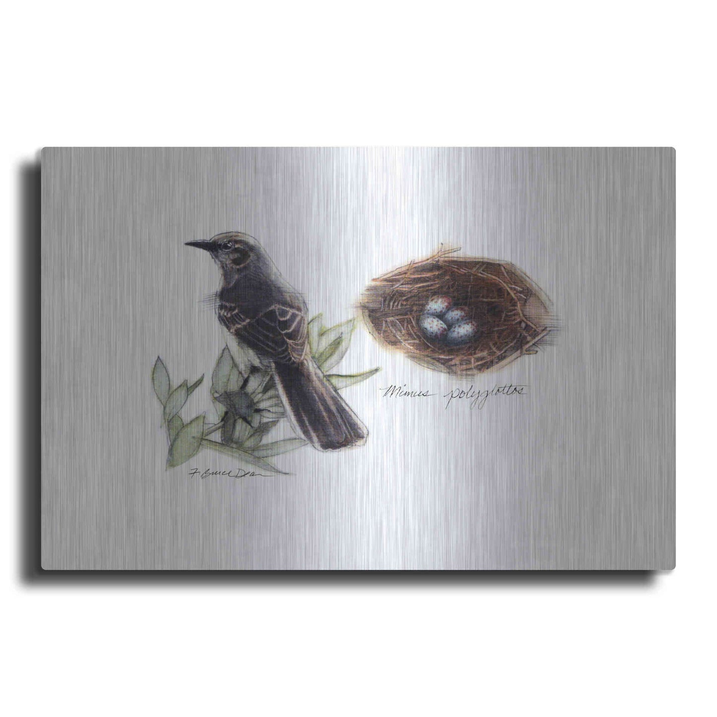 Luxe Metal Art 'Bird & Nest Study I' by Bruce Dean, Metal Wall Art