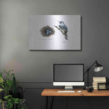 Luxe Metal Art 'Bird & Nest Study II' by Bruce Dean, Metal Wall Art,36x24