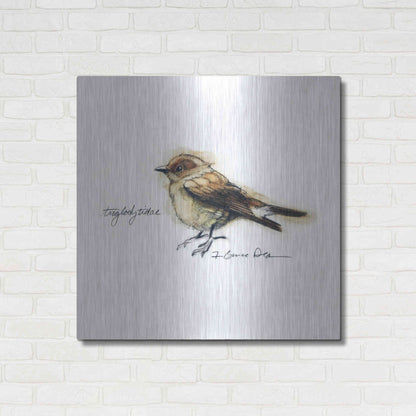 Luxe Metal Art 'Songbird Study I' by Bruce Dean, Metal Wall Art,36x36