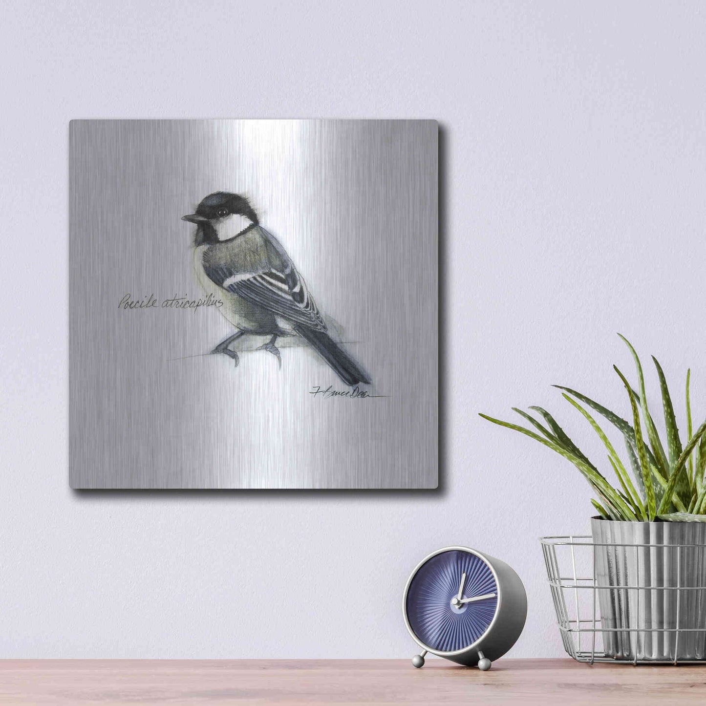 Luxe Metal Art 'Songbird Study II' by Bruce Dean, Metal Wall Art,12x12