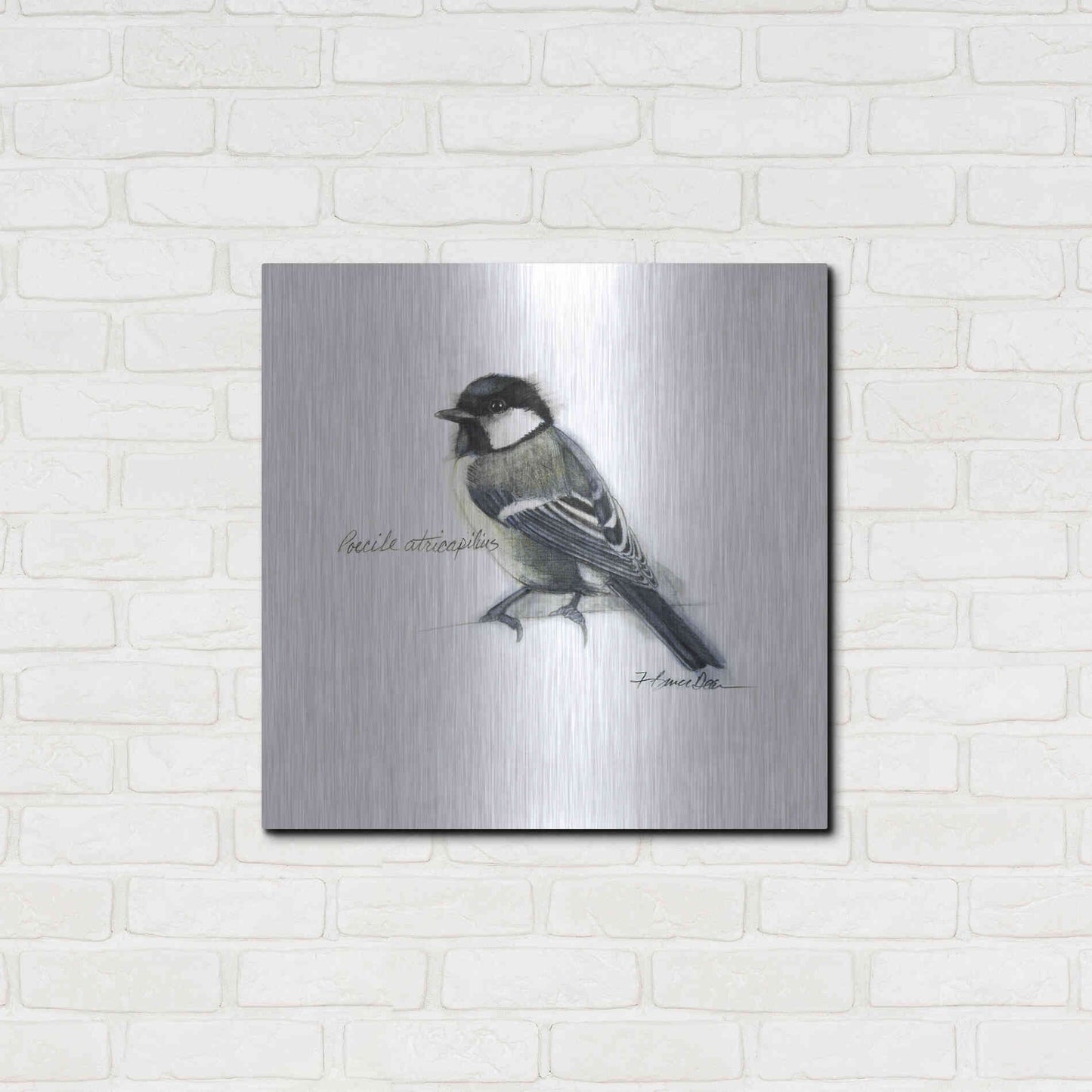 Luxe Metal Art 'Songbird Study II' by Bruce Dean, Metal Wall Art,24x24