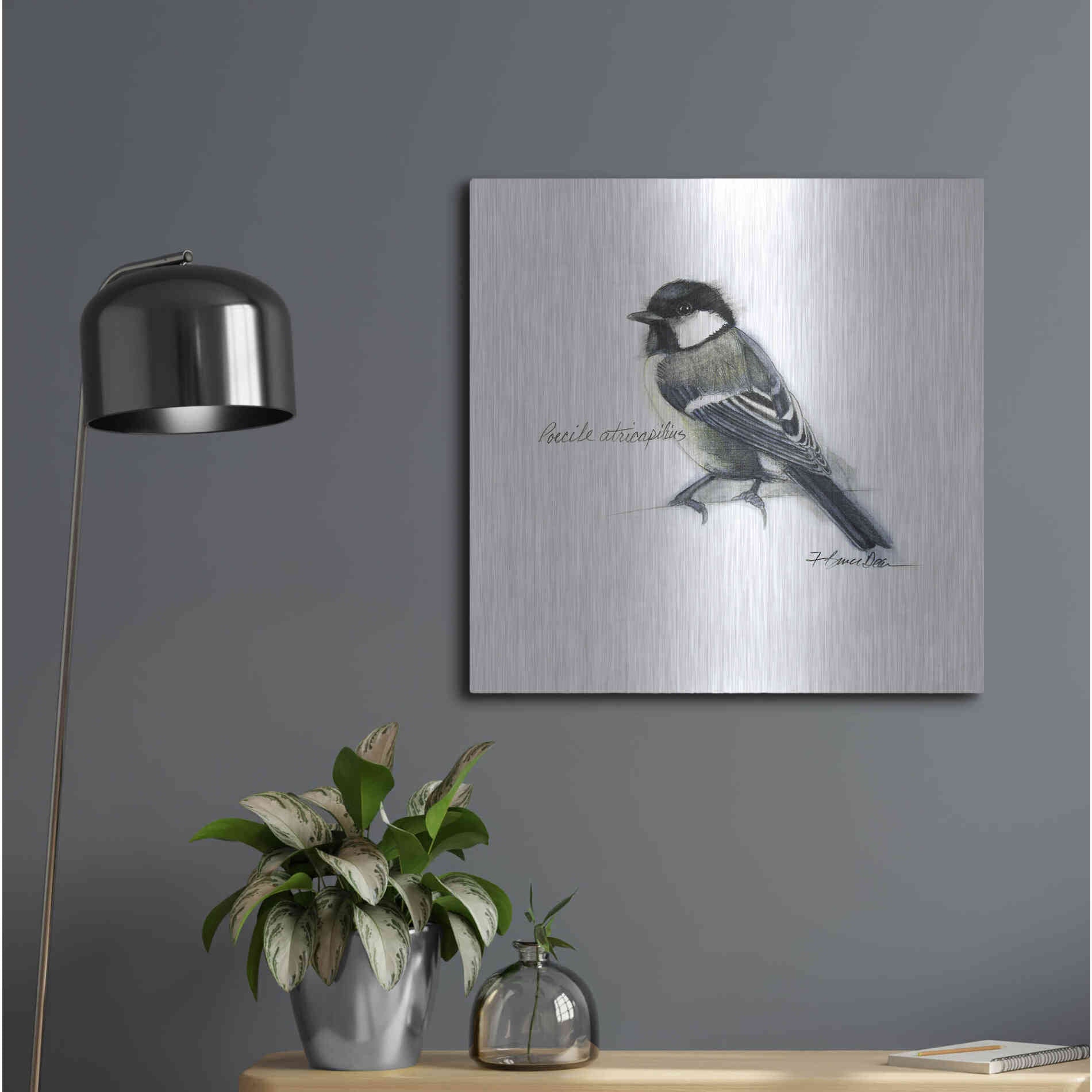 Luxe Metal Art 'Songbird Study II' by Bruce Dean, Metal Wall Art,24x24