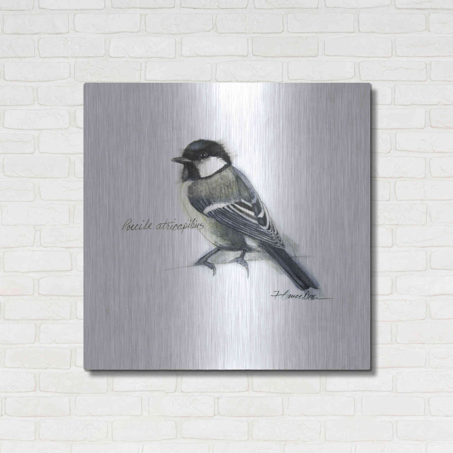 Luxe Metal Art 'Songbird Study II' by Bruce Dean, Metal Wall Art,36x36