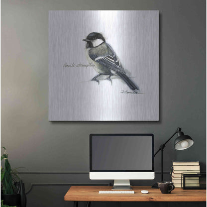 Luxe Metal Art 'Songbird Study II' by Bruce Dean, Metal Wall Art,36x36