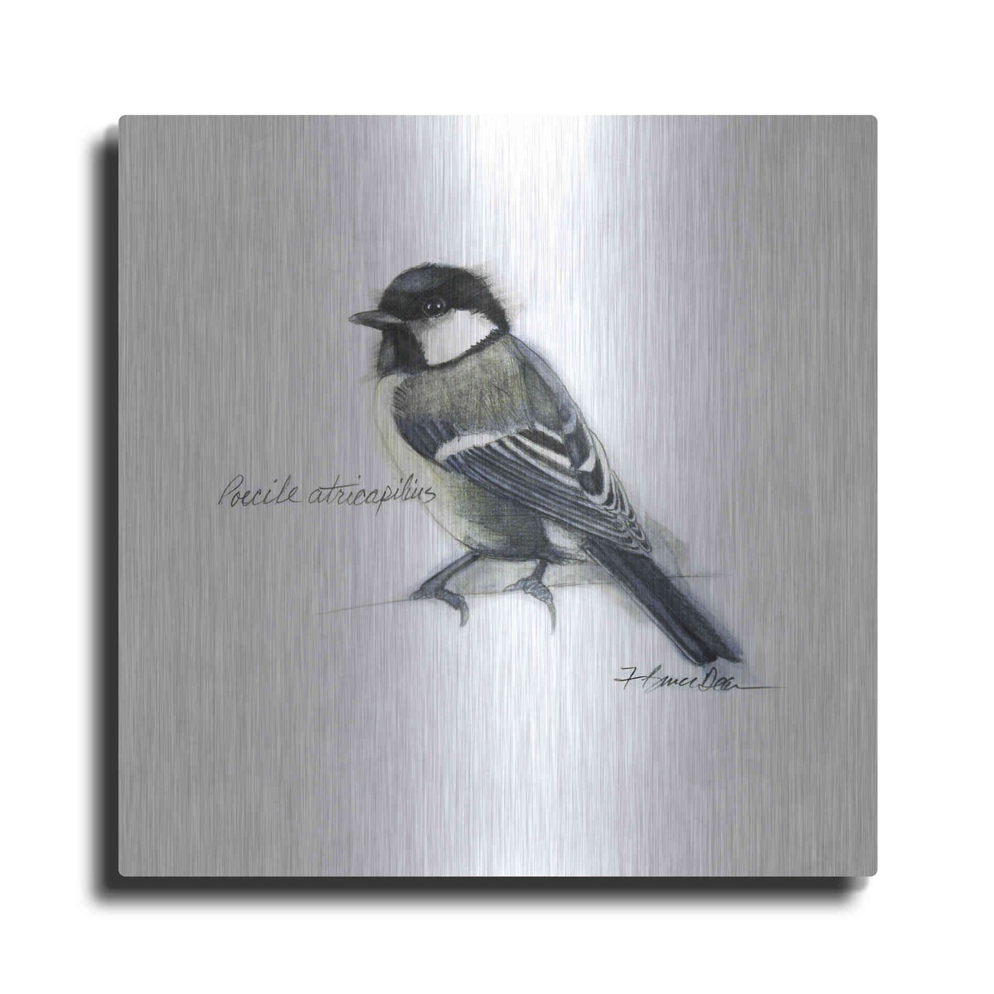 Luxe Metal Art 'Songbird Study II' by Bruce Dean, Metal Wall Art