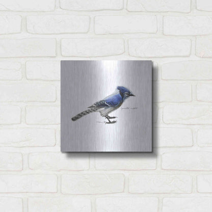 Luxe Metal Art 'Songbird Study III' by Bruce Dean, Metal Wall Art,12x12