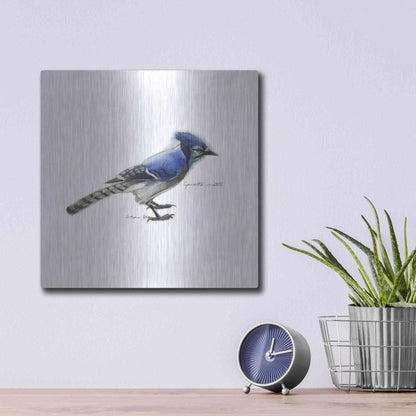 Luxe Metal Art 'Songbird Study III' by Bruce Dean, Metal Wall Art,12x12