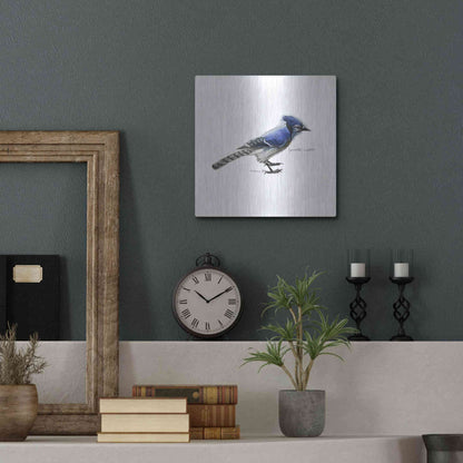 Luxe Metal Art 'Songbird Study III' by Bruce Dean, Metal Wall Art,12x12