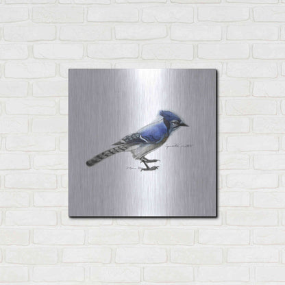 Luxe Metal Art 'Songbird Study III' by Bruce Dean, Metal Wall Art,24x24