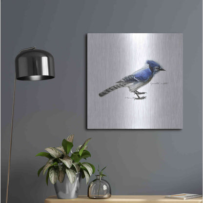 Luxe Metal Art 'Songbird Study III' by Bruce Dean, Metal Wall Art,24x24